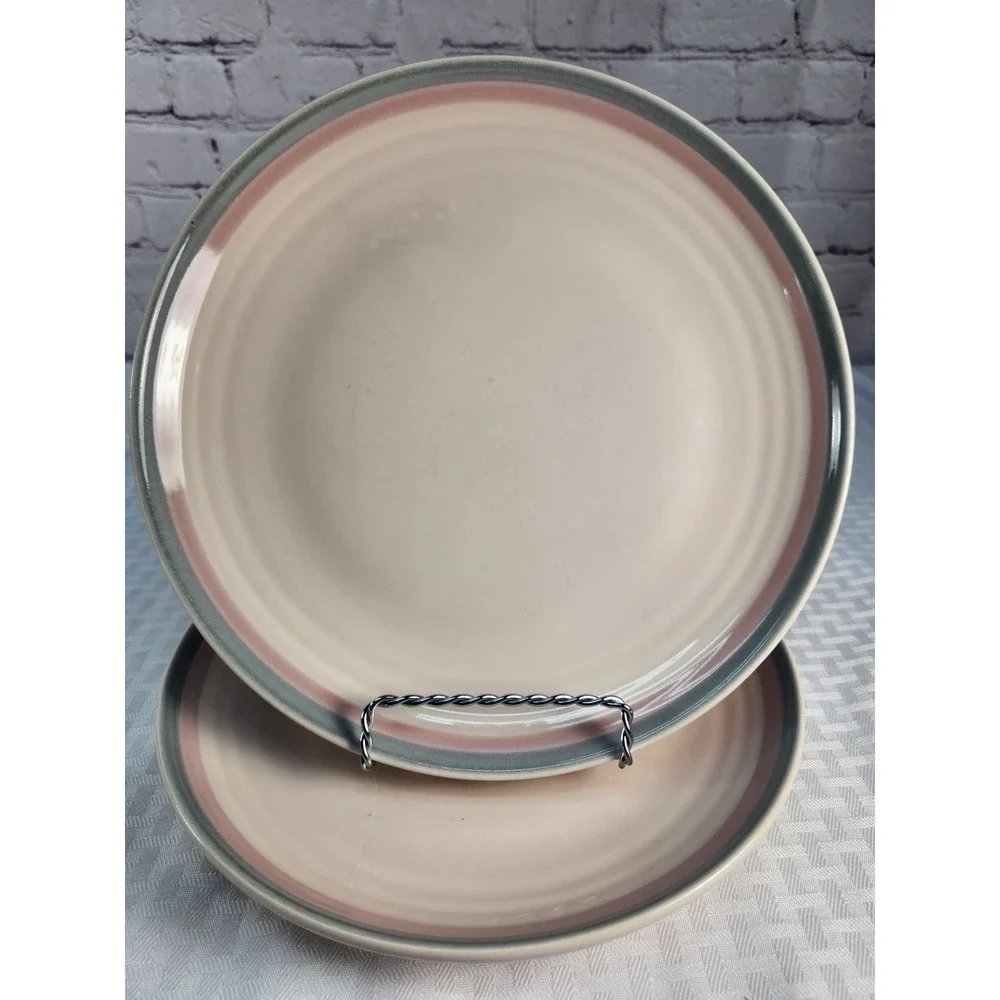 Pfaltzgraff Aura / Juniper Pink & Teal Dinner Plates, Set Of 2 Vintage